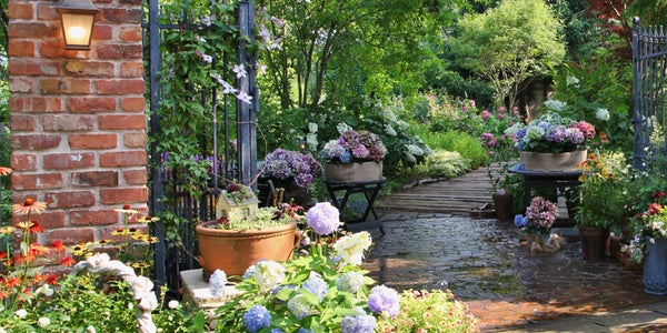 【福井県内発】 バラと緑が奏でる湖国の庭園 ローザンベリー多和田イングリッシュガーデン 秋バラ観賞と紅葉の伊吹山ドライブウェイ 日帰り1